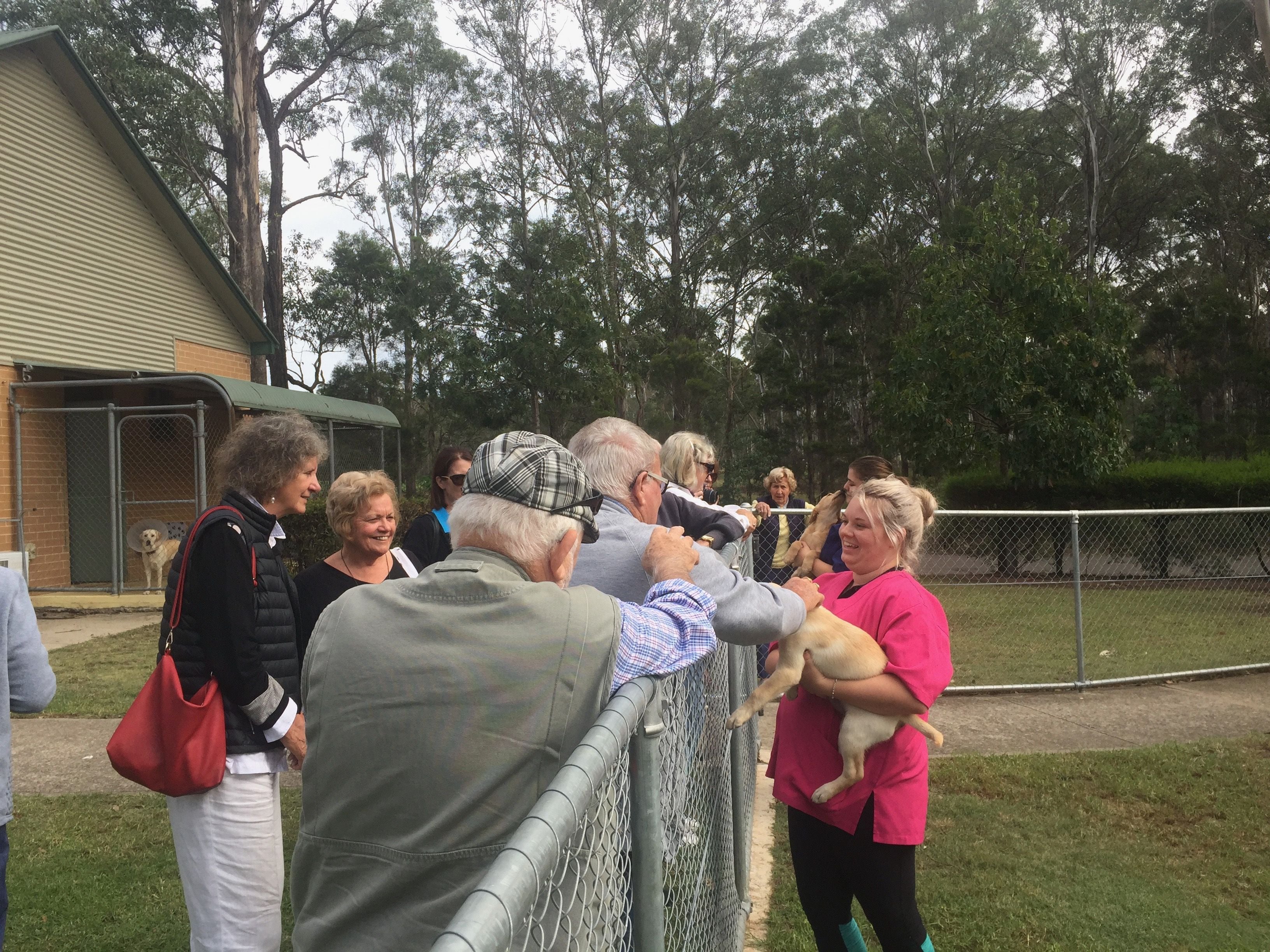 Guide Dogs NSW Day Tour Image -5b1625e47f70b